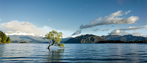 我們回家GO 14 奇蹟課程入門經典 《告別娑婆》 第10章：治療疾病