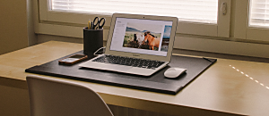 幸福內心禪 168 職場上怎樣才能做到溫柔而堅定