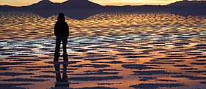 幸福內心禪 87 讓人際關係更美好的秘訣!