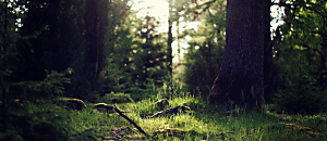 幸福內心禪 67 富有與智慧是同一件事嗎?