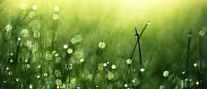 幸福內心禪 60 如何分辨小人