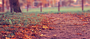 幸福內心禪 32 敬-和諧的源泉