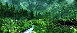 幸福內心禪 27 職場的義氣之道－盡忠不死忠