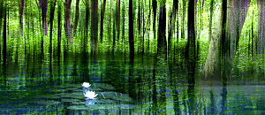 星空悄悄話 35：光體藝術家布卡專訪