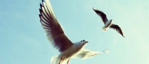 心悅幸福樂 104 西藏動脈瑜珈 脈動瑜珈傳人Lydia 分享