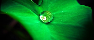 生活新鮮樂-107 照明設計終極聖經和搞懂裝潢行情，省錢還賺價差