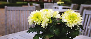 生活新鮮樂-093 最後的臨別禮物和再見世界工廠