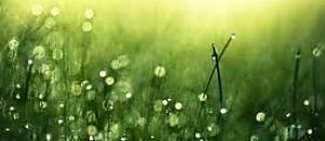 心悅幸福樂 95 轉運造命之道：紫嚴導師的谷神心法傳承