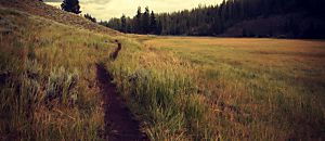 心悅幸福樂 63 女人的芳香私療法