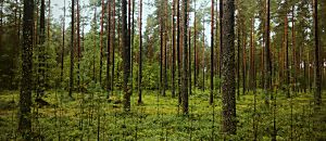 心悅幸福樂 43 算你好命 王牧音15分鐘抓住紫微四化能量，創造好命