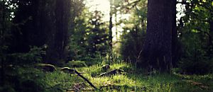 心悅幸福樂 42 每一天，都是全新的時刻 心想事成視覺操練法