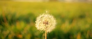 心悅幸福樂 32 【當和尚遇到鑽石3】瑜伽真的有用嗎？：身心靈覺醒的旅程