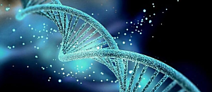 華人網路心靈電台 週五 宇色看世界 7 再續元辰宮與將前世混亂今世就是神棍！