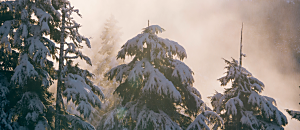 系列三-Andrea Ridgway談靈氣-star-035