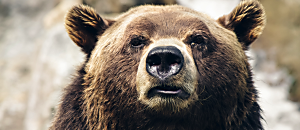 宇色心養生6 在心理諮商看見向日葵的光芒—專訪「向日葵全人關懷協會」理事長方翠君