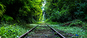 Net 新地球轉譯器 87