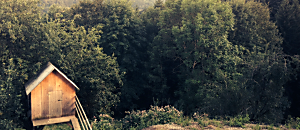 Net 新地球轉譯器 62