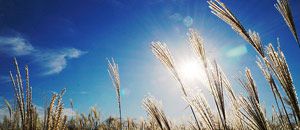 從生活中談能量