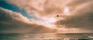 宇色心養生─123─前世今生夜未央