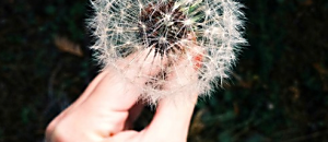 心悅幸福樂 121 啟動你內在的成功密碼：發現天命、迎向豐盛，與宇宙共同創造你渴望的生活