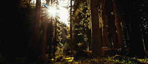 心悅幸福樂 122 鑽石切割師：一個凡夫俗子的悟境之旅