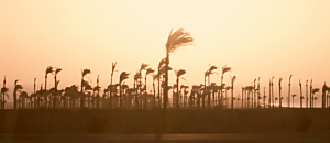 心悅幸福樂 123 筋典 安一心專訪作者黃必文 九韵出版