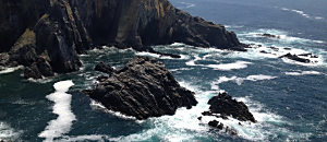 幸福內心禪(215)	標題：專心做事也會有錯嗎?