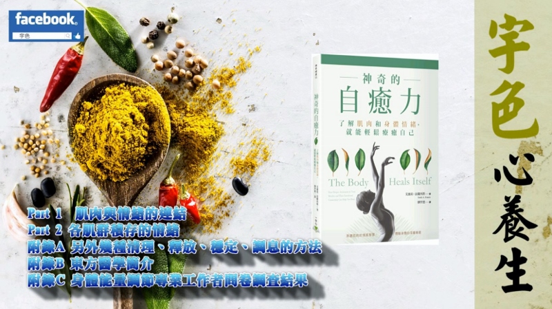 宇色心養生 258 身體不可思議的自轉療癒力