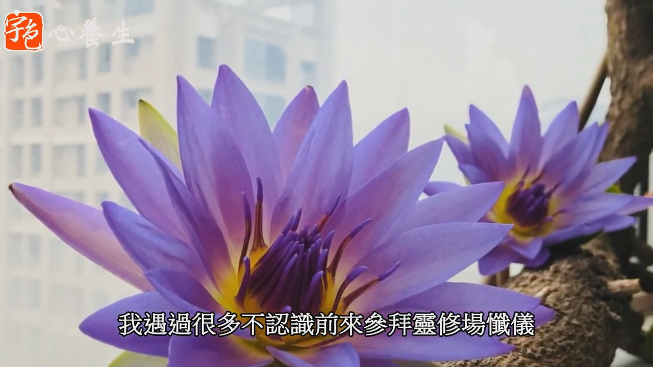 宇色心養生│全國瘋靈動，到底知道自己在動什麼嗎？