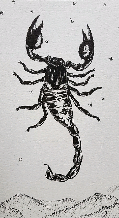 【占星與內在體察】月亮星座落天蠍