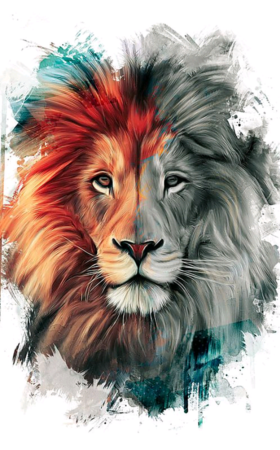 【占星與內在體察】月亮星座落獅子