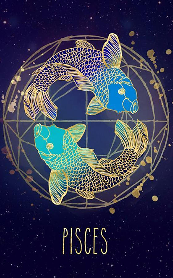 【占星與內在體察】月亮星座落雙魚