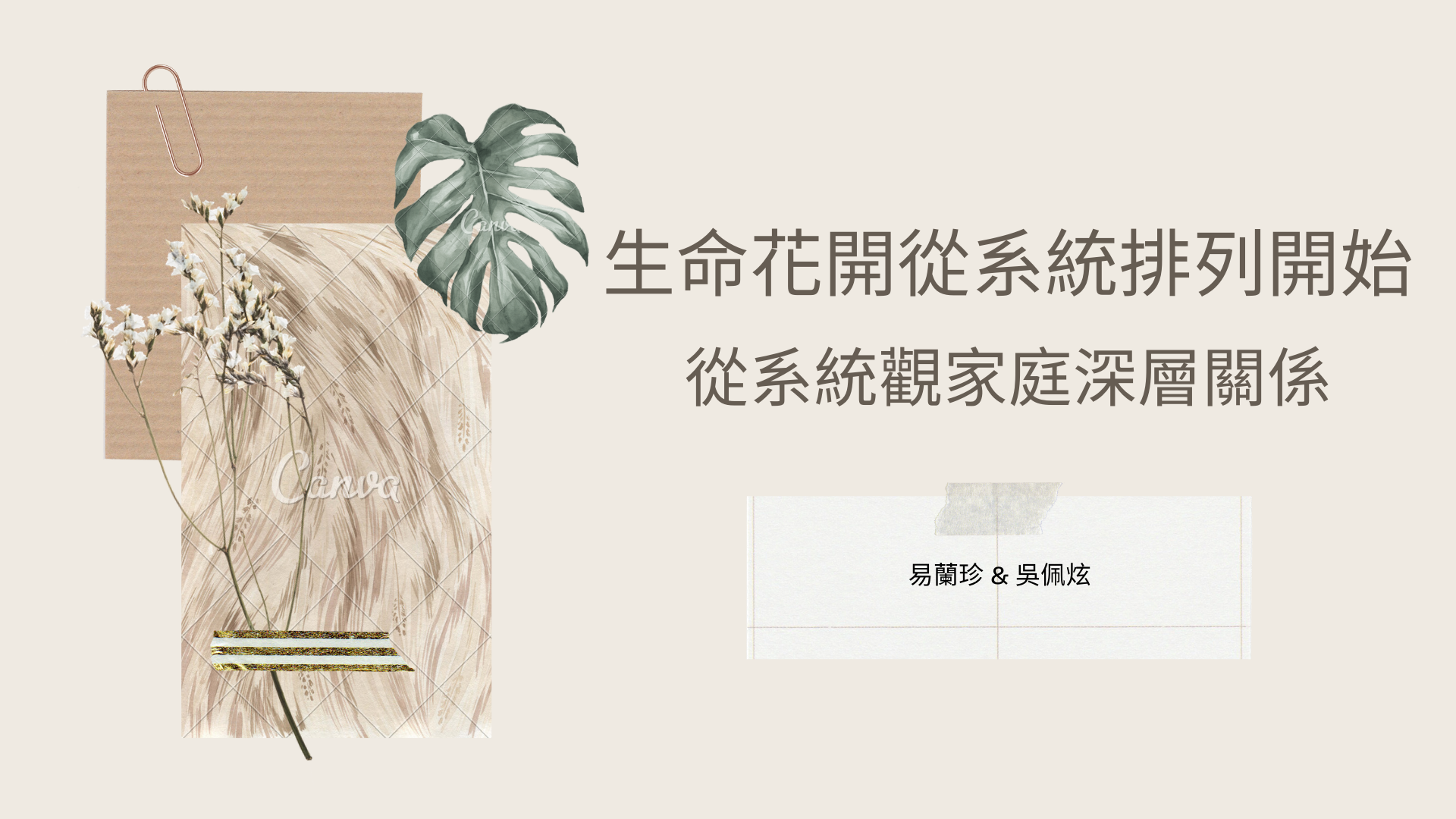【生命花開 從系統排列開始】從系統觀家庭深層關係