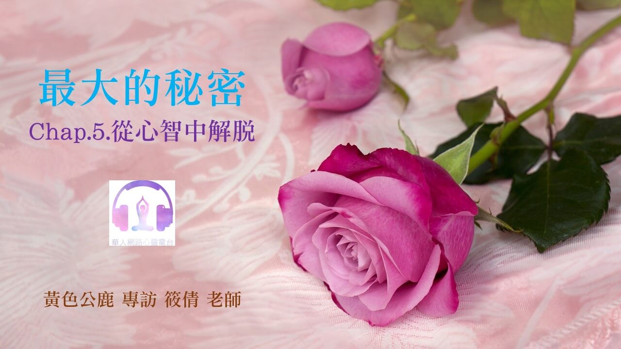 最大的秘密 Chap.5. 從心智中解脫 │ Ritam超效科學心靈訓練中心 │ 黃色公鹿 專訪 筱倩老師