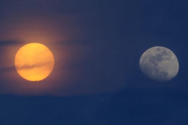 【龍食日月，化身千年之蛇】