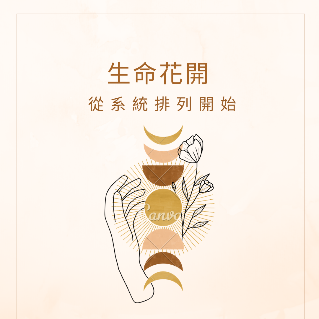 生命花開  從系統排列開始